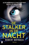 Erika Foster 2 - De stalker in de nacht