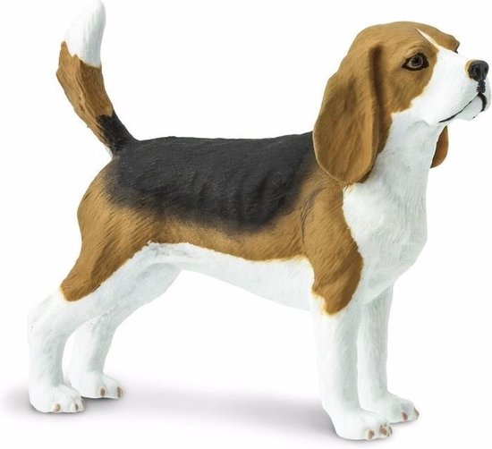 conservatief Bezienswaardigheden bekijken schipper Plastic speelgoed figuur Beagle hond 6 cm | bol.com