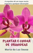 Plantar e cuidar de Orquídeas