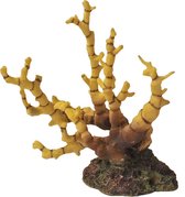 Boon reef flower geel/bruin 12x6cm
