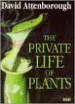 PRIVATE LIFE OF PLANTS