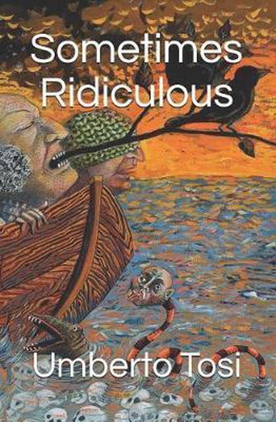 Sometimes Ridiculous - cover