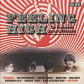 Feeling High - The Psychedelic Sound Of Memphis