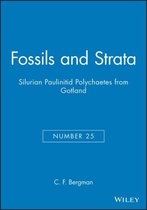 Fossils And Strata