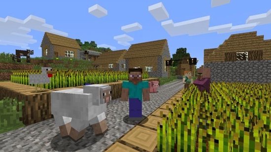 Minecraft Wii U Minecraft Wii U