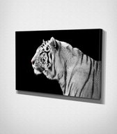 White Tiger Canvas | 70x100 cm