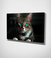 Cat Canvas | 80x120 cm