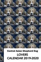 Central Asian Shepherd Dog Lovers Calendar 2019-2020