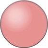 16 Rose Coup de Foudre