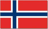 Vlag Noorwegen 90 x 150 cm feestartikelen - Noorwegen landen thema supporter/fan decoratie artikelen