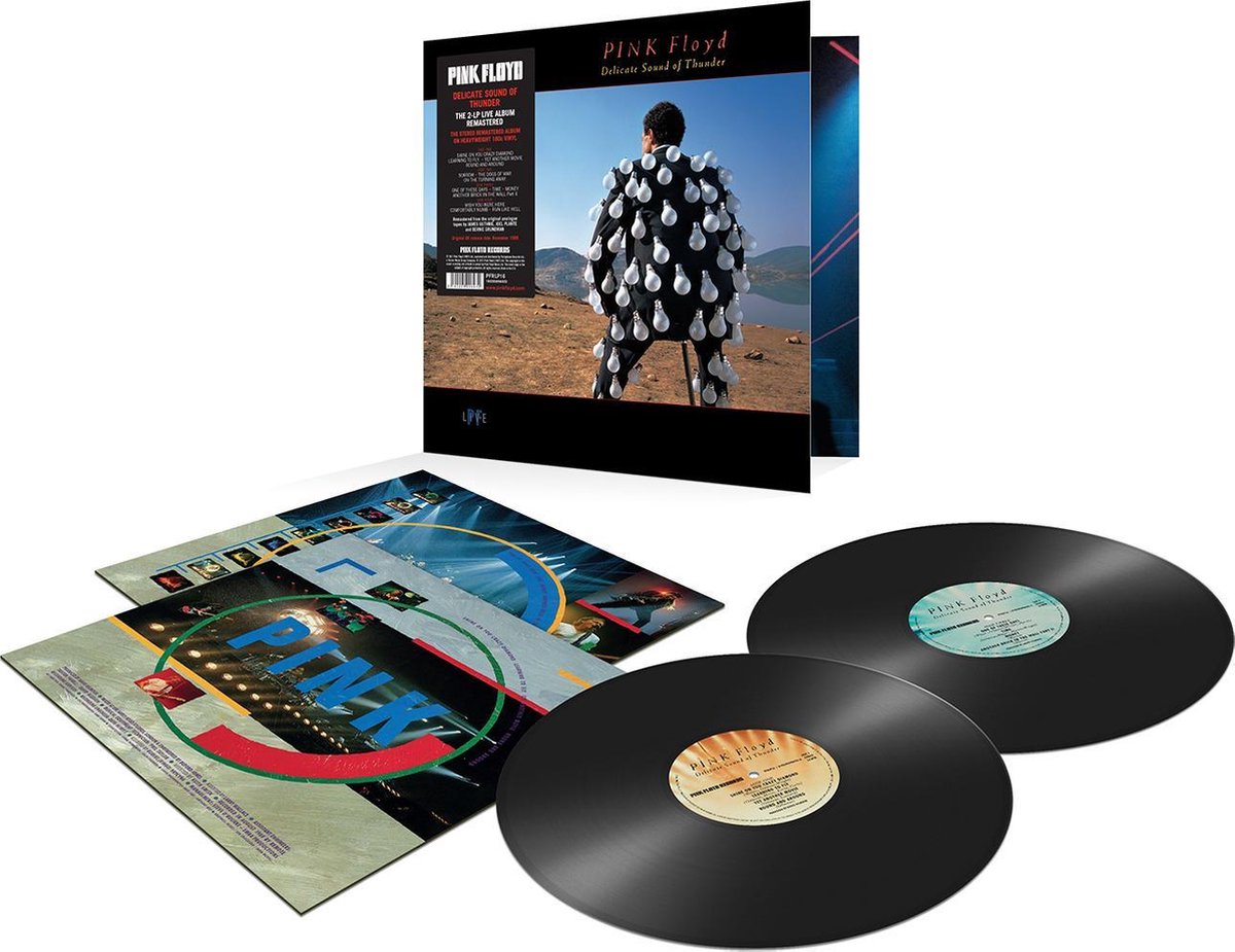 Delicate Sound Of Thunder (LP), Roger Waters Muziek bol