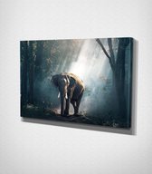 Elephant In The Forest Canvas | 30x40 cm