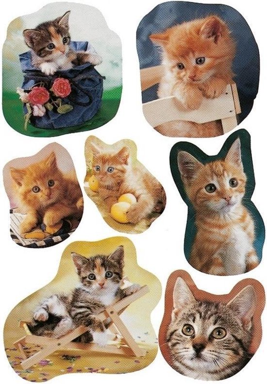 21x Katten/poezen dieren - - stickervellen - knutselspullen | bol.com