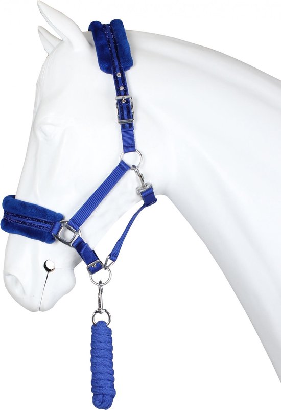 Blauw halster met zilveren gespen en een zachte blauwe voering.