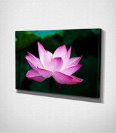 Pink Flower Canvas - 60 x 40 cm - Bloemen - Schilderij - Canvas - Slaapkamer - Wanddecoratie  - Slaapkamer - Foto op canvas
