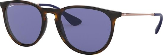 ray ban erika havana