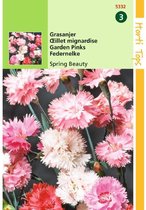 Hortitops zaden - Grasanjer Bloemzaad - Spring Beauty - Gemengd
