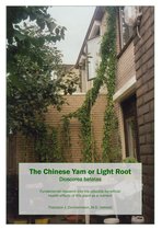 The Chinese Yam or Light Root Dioscorea batatas