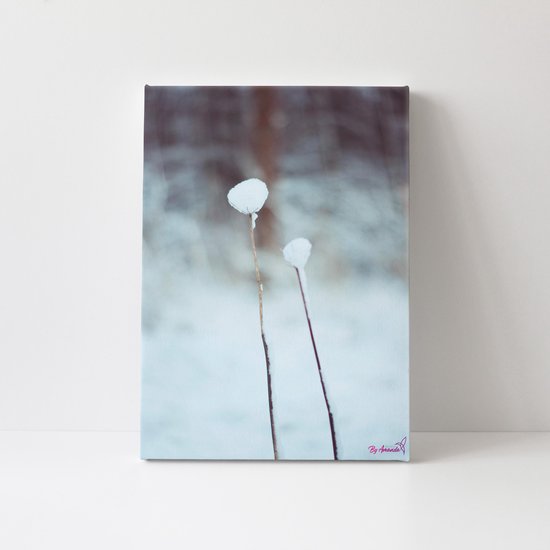 Plant | Sneeuw | Close-up | Planten | Stichting BY Amanda | Canvasdoek | Wanddecoratie | 100CM x 150CM | Schilderij