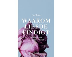 Omslag van Waarom liefde eindigt