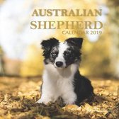 Australian Shepherd Calendar 2019