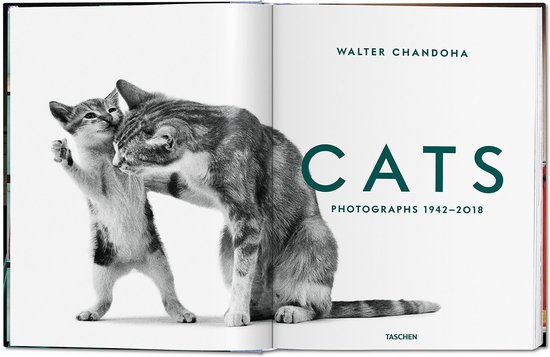 Walter Chandoha. Cats. Photographs 1942–2018