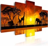 Schilderij - Savanne - zonsondergang, Afrika, Geel/Oranje, 5luik
