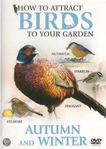 How to Attract Birds - Autumn and Winter