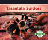 Spiders - Tarantula Spiders