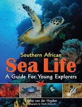 Southern African sea life