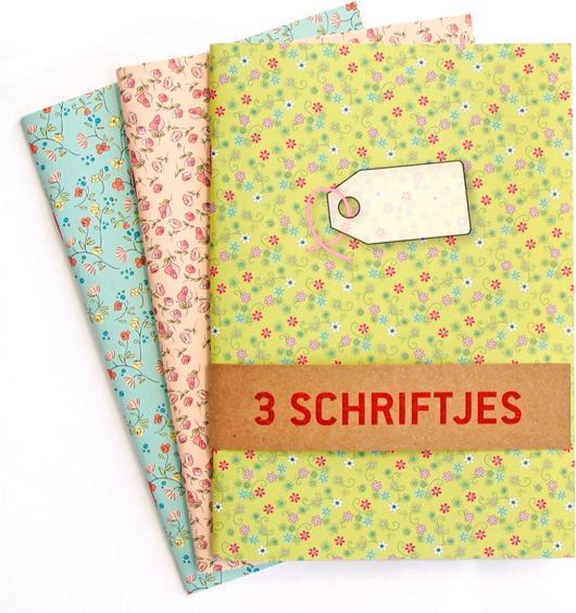Schriften Groen Blauw Roze - 3 stuks A5 Gelijnd