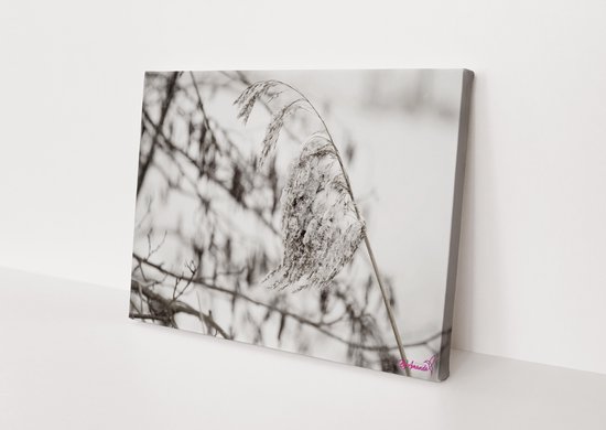 Plant | Sneeuw | Natuur | Stichting BY Amanda | Canvasdoek | Wanddecoratie | 150CM x 100CM | Schilderij