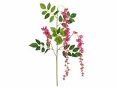 Europalms Wisteria Branch, roze