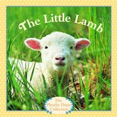 Pictureback - The Little Lamb
