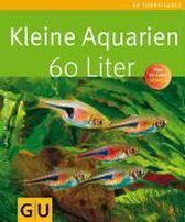 Kleine Aquarien - 60 Liter