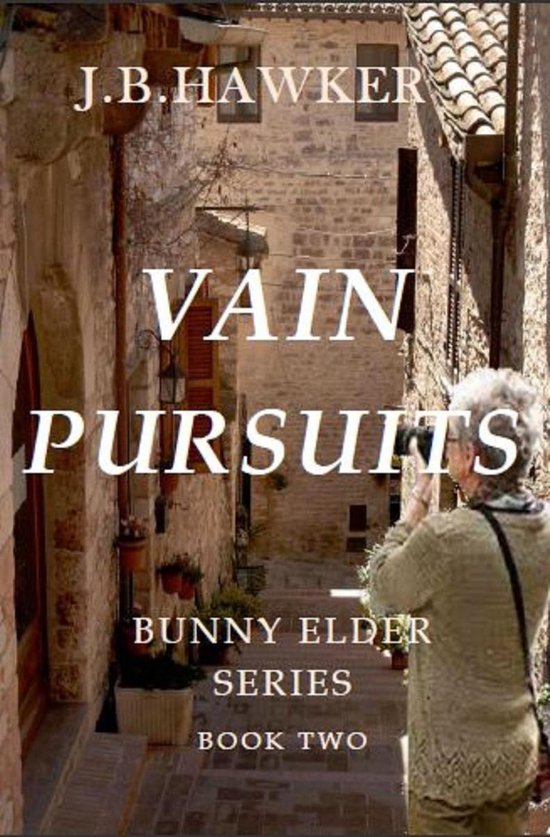 Vain Pursuits - cover