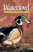 Waterfowl of Eastern North America