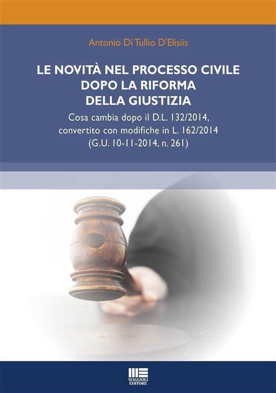 Le novità nel processo civile dopo la riforma della giustiz ... - cover