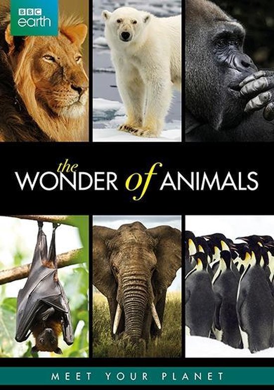 Bbc Earth; Wonders Of Animals