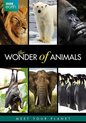 Bbc Earth; Wonders Of Animals