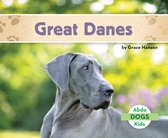 Dogs Set 2 - Great Danes