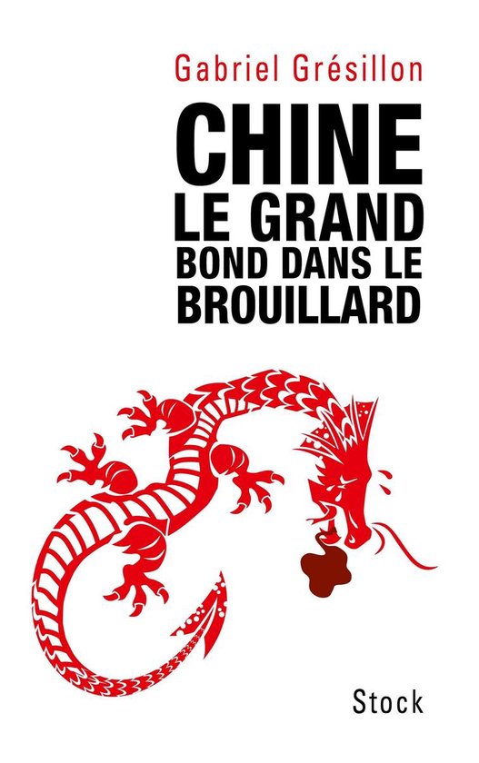 Chine. Le grand bond dans le brouillard - cover