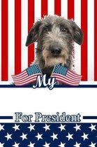 My Scottish Deerhound for President