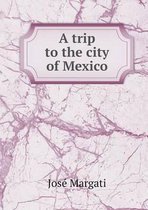 A trip to the city of Mexico