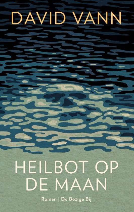 Heilbot op de maan - David Vann | Tiliboo-afrobeat.com