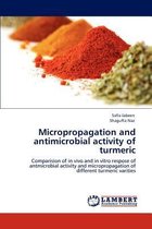 Micropropagation and Antimicrobial Activity of Turmeric