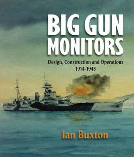 Big gun monitors