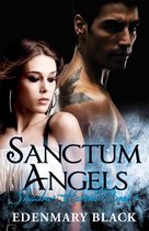 Boek cover Sanctum Angels Shadow Havens Book 1 van Edwin Bryant