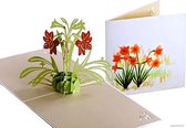 Popcards popupkaarten – Bloemen rode Narcissen Valentijn Moederdag Vriendschap Verjaardag Felicitatie pop-up kaart 3D wenskaart
