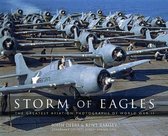 Storm of Eagles